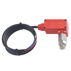 Presostato Hidrolavadora Ps60 45BAR Inox 660bar